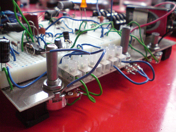 homemade Beavis 2.jpg